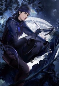 未完无续